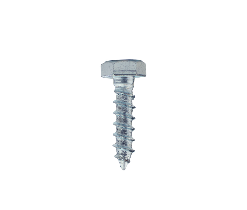 Coach screws Galvanised M10 x 40 mm - Per 100 Pieces