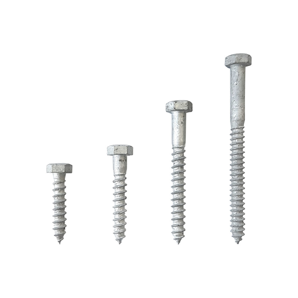 Screw Coach 8 x 50 HDG