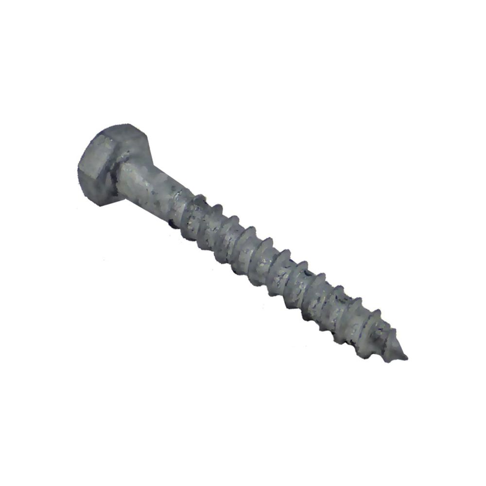 Galvanised Coach Screw - 10 X 75mm