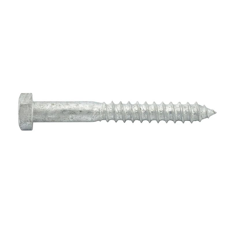 1 X Coach Screw 8x120 Hot Dip Galvanized