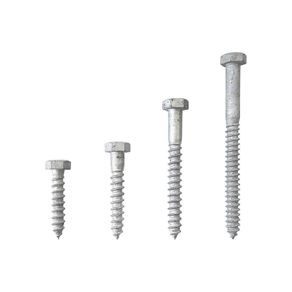 Screw Coach 8 X 50 Hdg