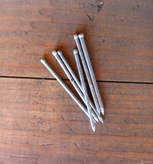 75 X 3.75 Bullet Head Nails Galvanised 2kg