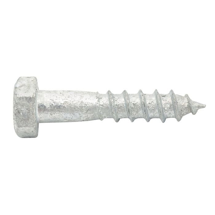Screw Coach Hot Dip Galvanised M8x40